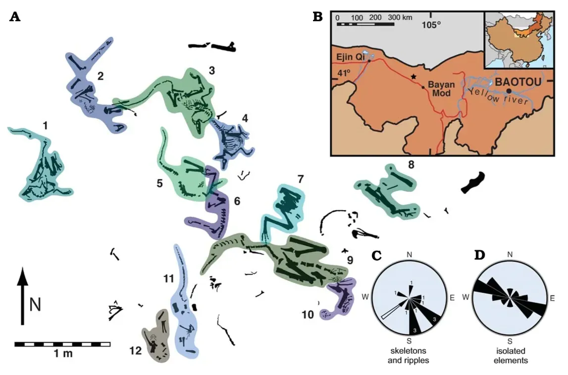 Juvenile Dinosaurs Banded Together for Protection (Image Credits: Wikimedia)