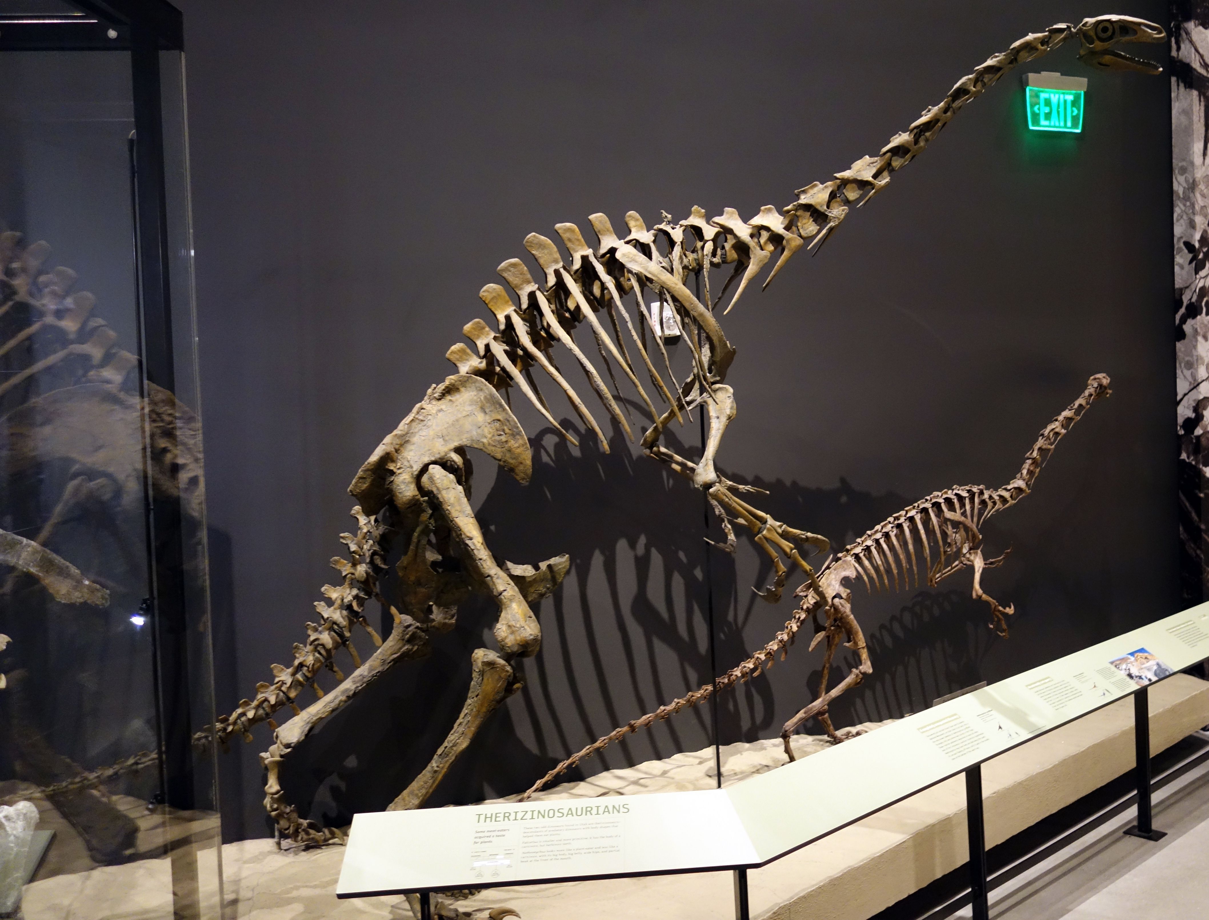 Analytical Problem-Solving Abilities (Image Credits: Wikimedia)