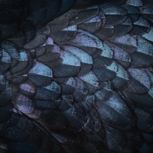 From Scales to Shimmer: How the Story of Dinosaur Feathers Began (Image Credits: Pexels)