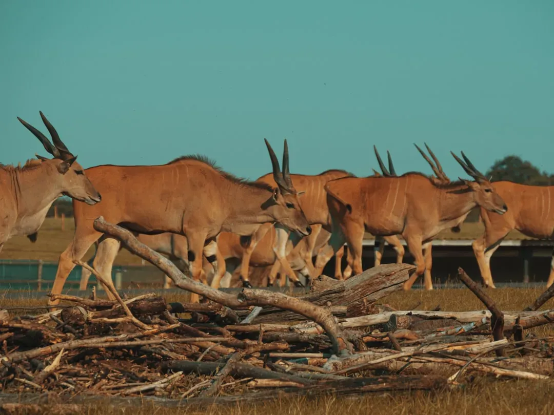 Conclusion (Image Credits: Unsplash)