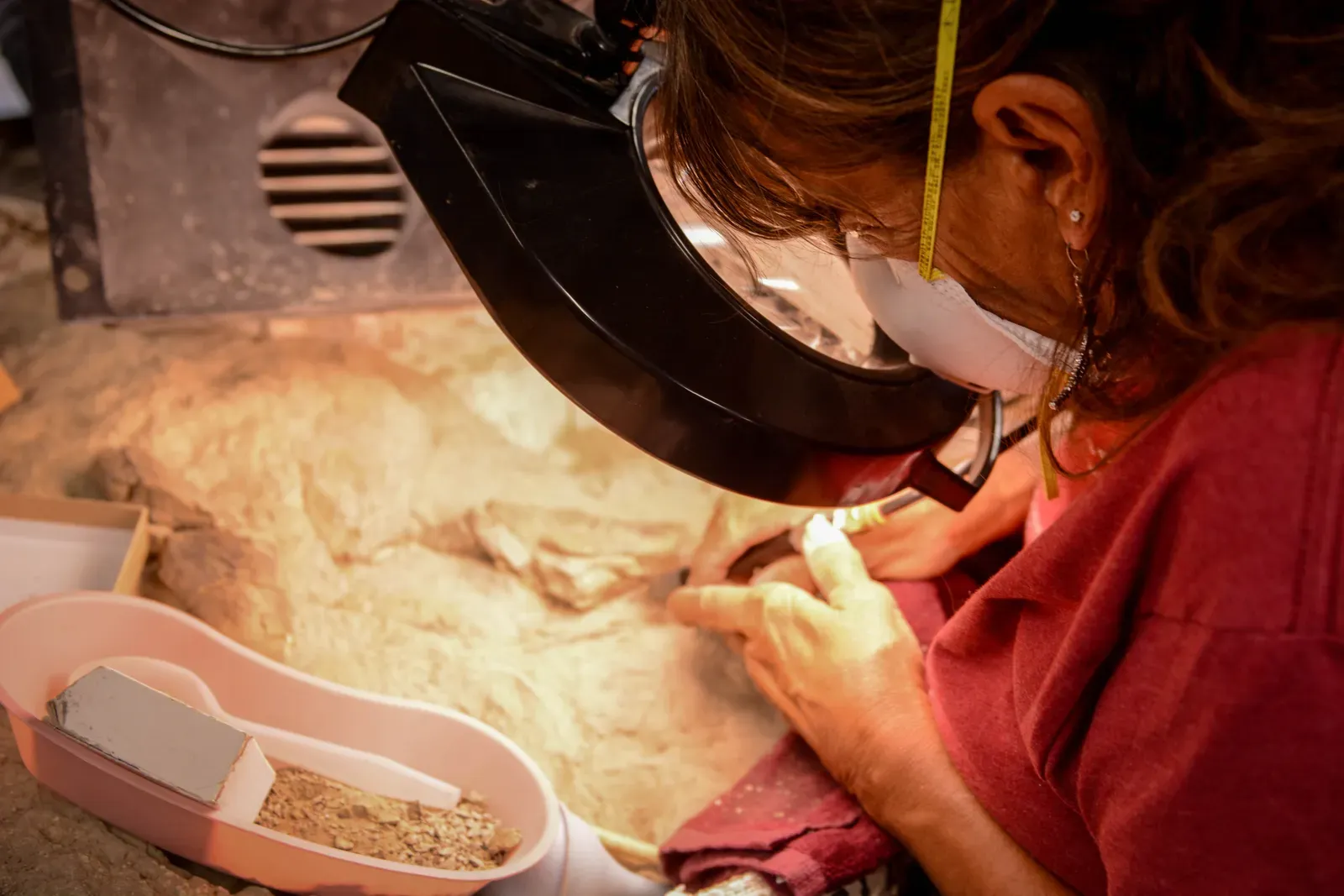 What Bone Microstructure Reveals That Fossils Alone Cannot (DSC_7402, Public domain)