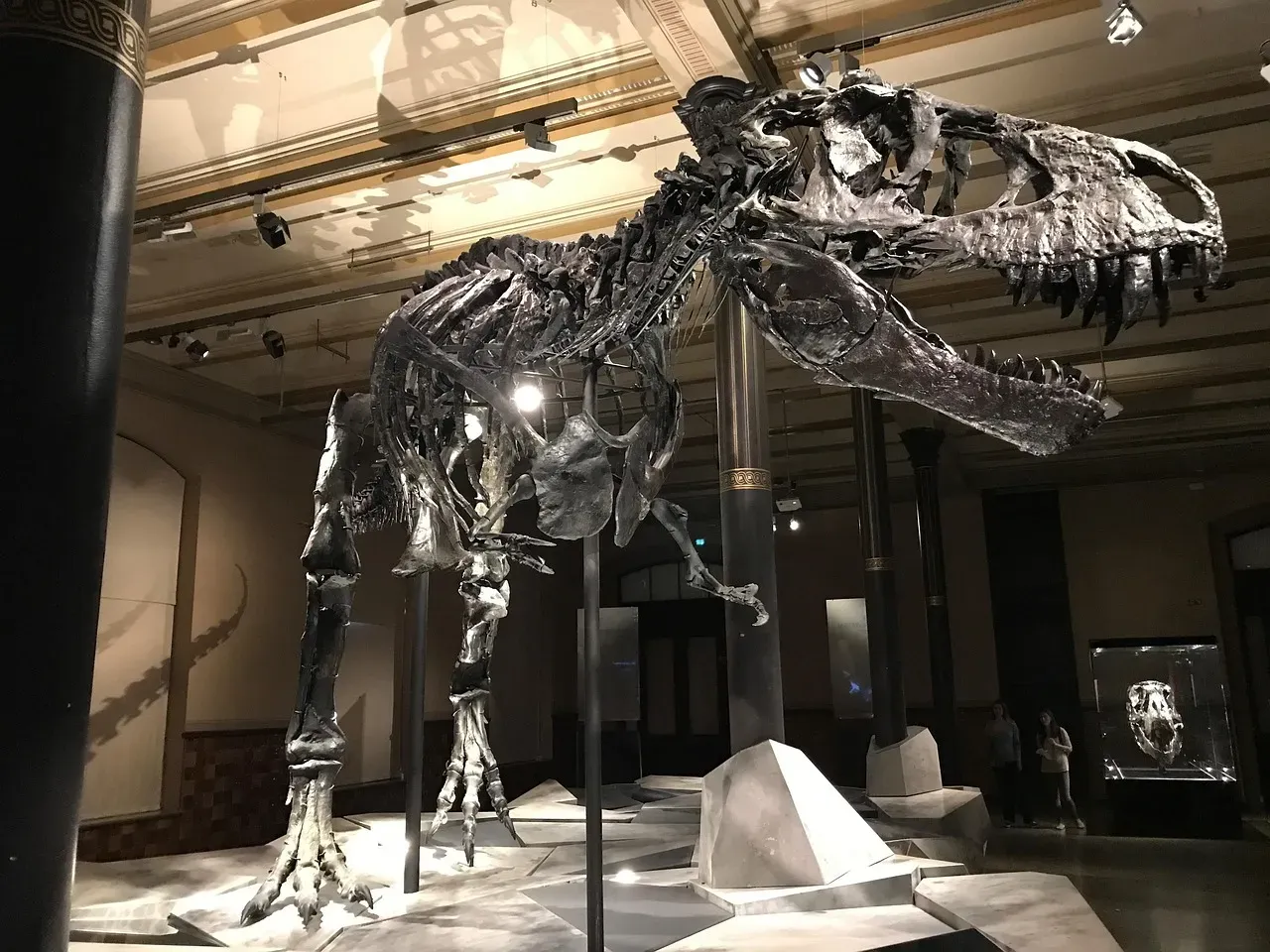 #5 - It Might Have Been Way Bigger Than Any Fossil We've Found (Image Credits: Pixabay)