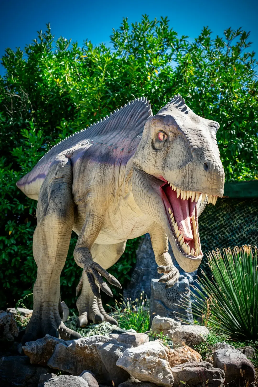 3. Giganotosaurus vs Tyrannosaurus rex: The “Who Was the Biggest?” Showdown (Image Credits: Unsplash)