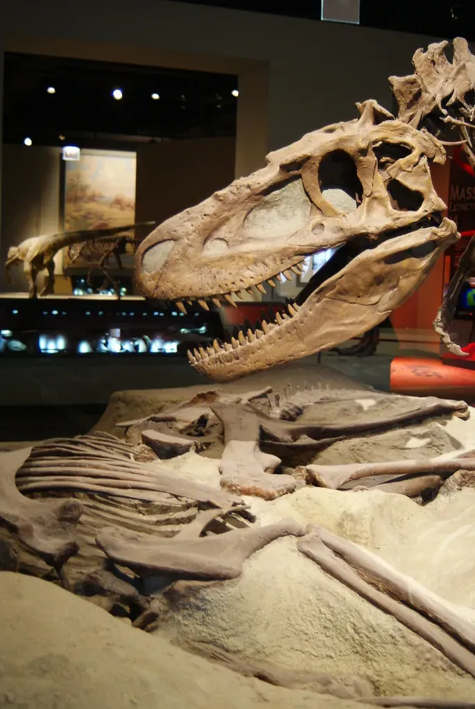 Teeth Don't Lie: What Dinosaur Dentistry Tells You (Dallas Krentzel, Flickr, CC BY 2.0)