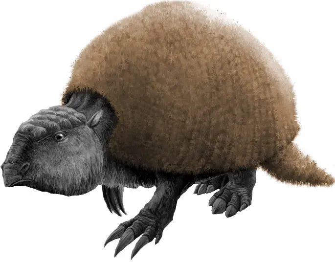 Glyptodon: The Walking Tank from the South (Image Credits: Wikimedia)