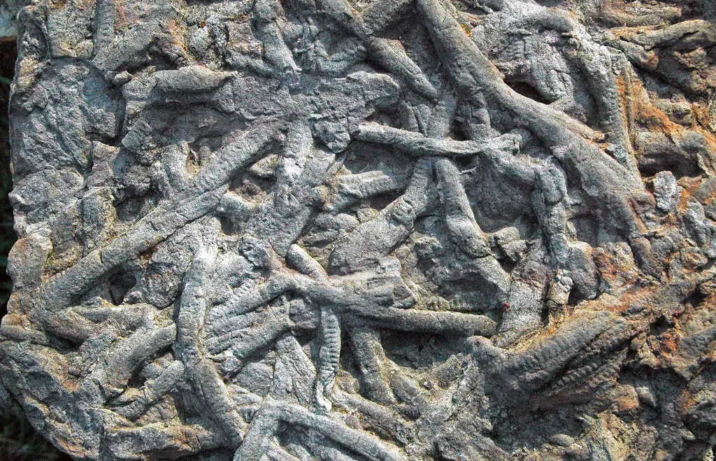 How You Know Gondwana Was Real: Fossils, Rocks, and Ice (James St. John, Flickr, CC BY 2.0)