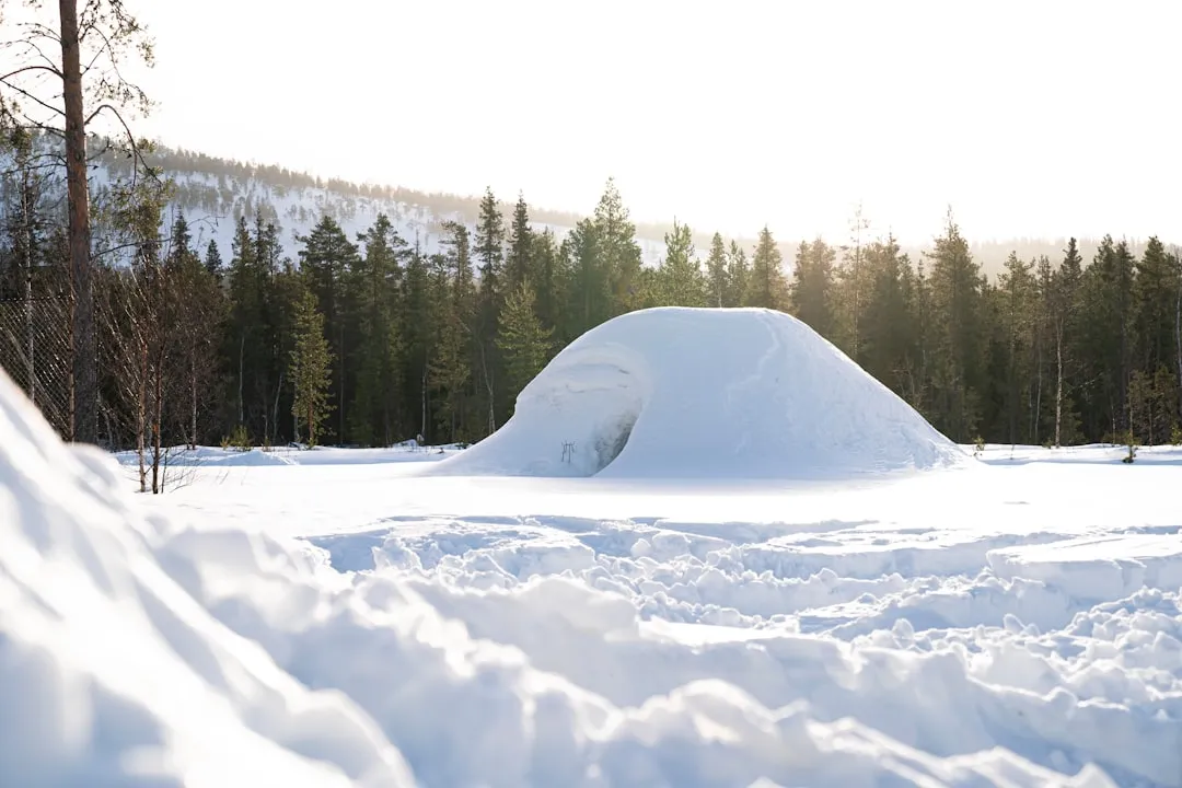 Turning Landscapes of Ice into a Survival Map (Image Credits: Unsplash)