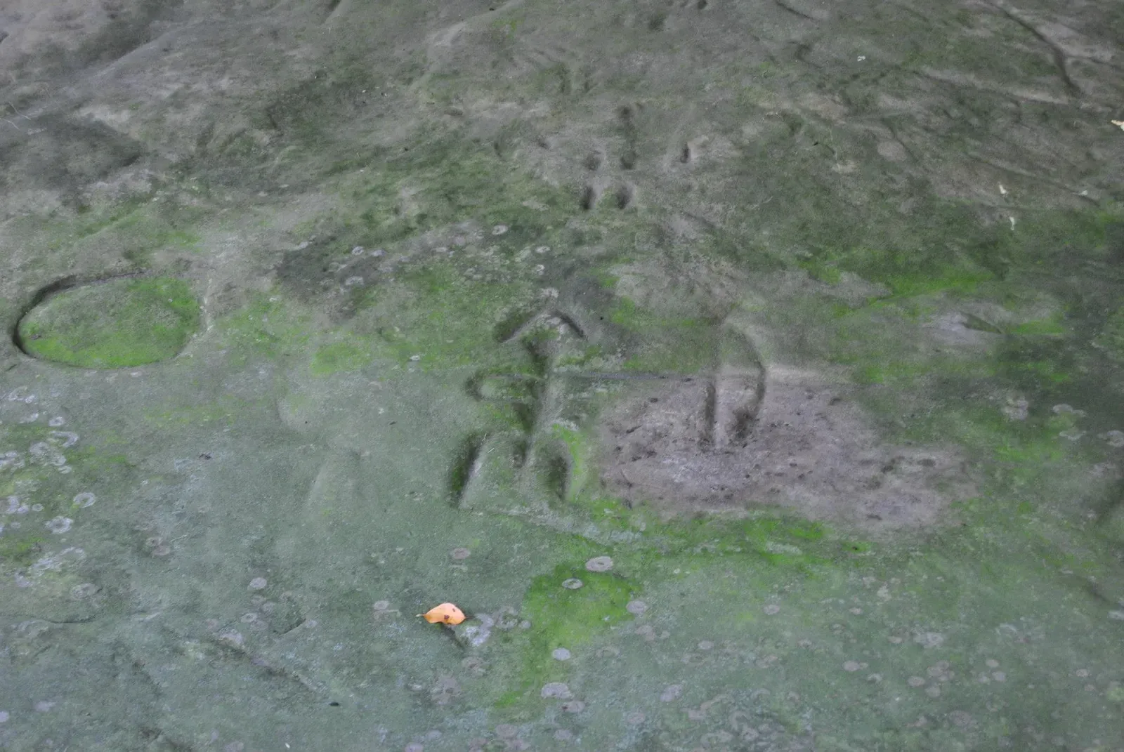 A Living Record Carved Into Stone: What You Need to Know About Petroglyphs and Pictographs (By Claytonllibrar, CC BY-SA 3.0)