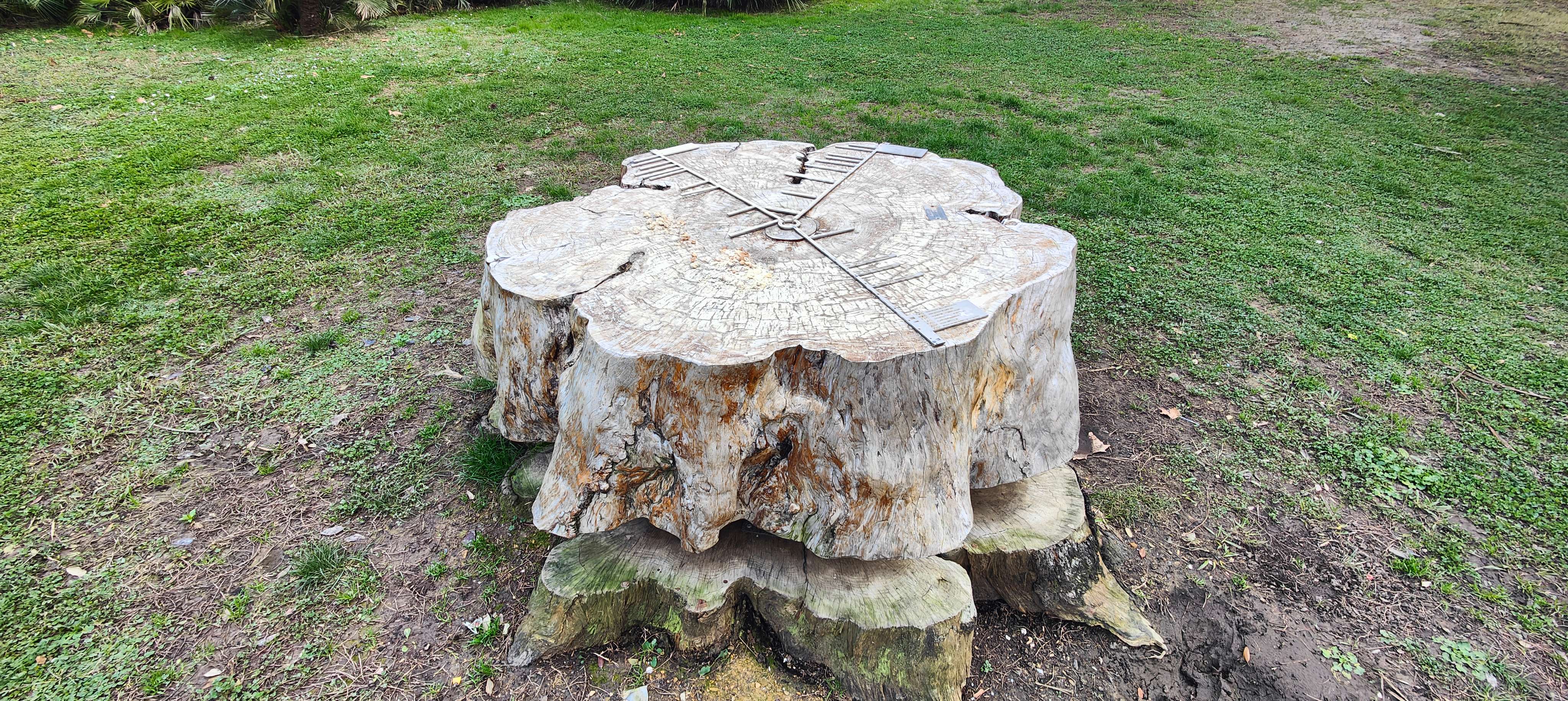 The Future Written in Ancient Wood (Image Credits: Wikimedia)