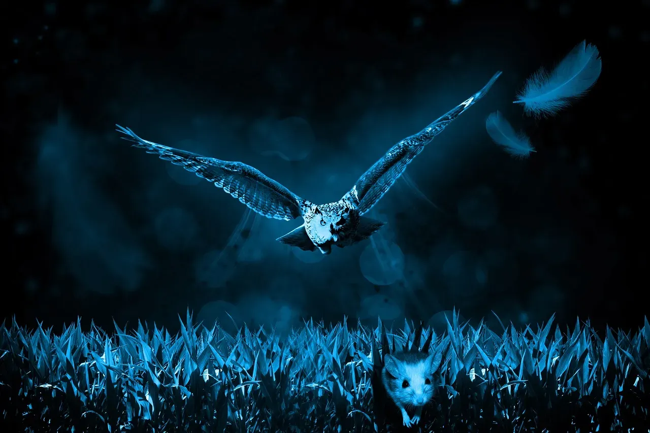 The Owl: See What Others Cannot (Image Credits: Pixabay)