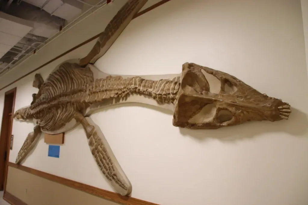 What This Changes About How We Imagine Ancient Seas (Image Credits: Flickr)