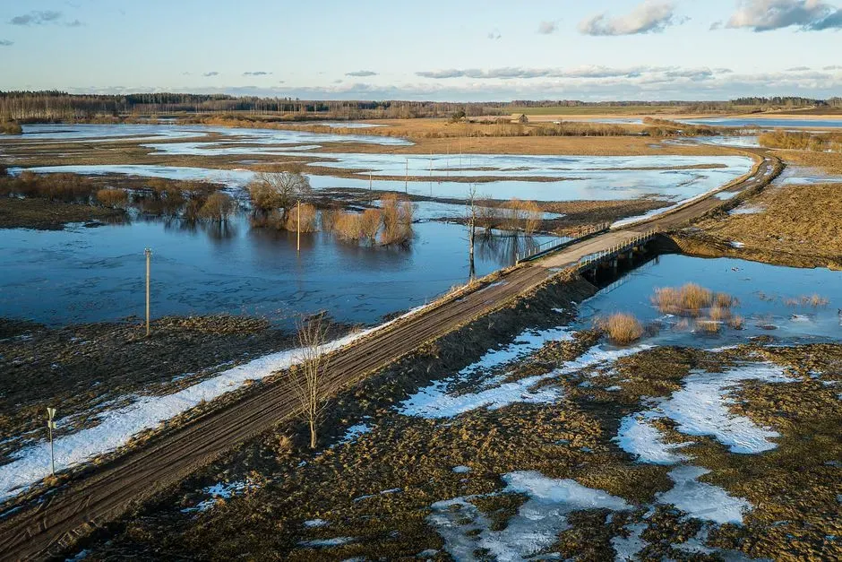 #11 Ecological Shifts: Rivers, Wetlands, and Wildlife Rewriting Themselves (Image Credits: Pexels)
