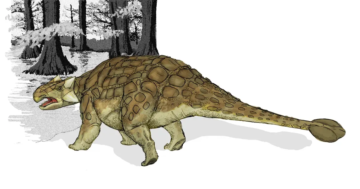 Ankylosaurus: The Classic Living Tank of the Late Cretaceous (By Mariana Ruiz Villarreal LadyofHats, Public domain)