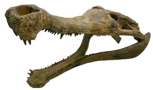 Where These Giants Ruled Ancient America (Image Credits: Wikimedia)