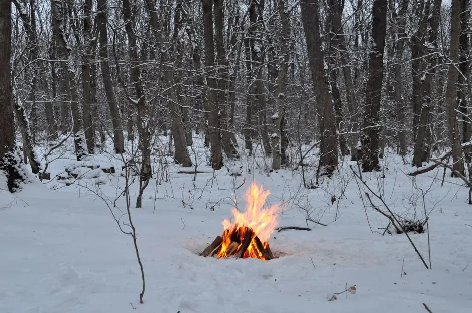 Fire, Fat, and Fur: The Original Cold-Weather Tech Stack (Image Credits: Pexels)