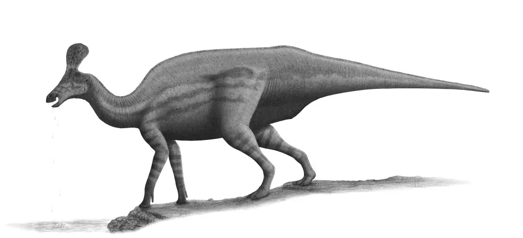 9. Tsintaosaurus: The Dinosaur That Could Actually Communicate (Image Credits: Wikimedia)