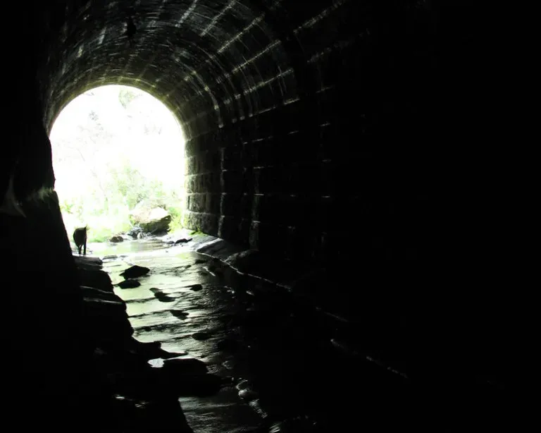 #9 - Prohibition-Era Tunnels Still Run Beneath Downtown Los Angeles (Image Credits: Flickr)