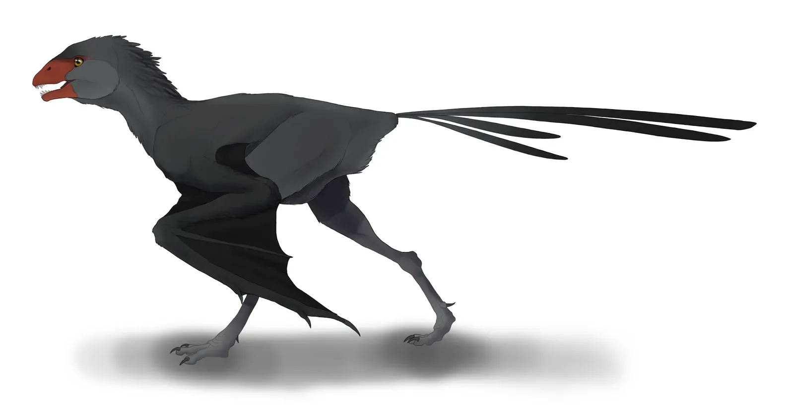 Ambopteryx: The Tiny Glider That Proved Yi qi Was Not a One-Off (By Audrey.m.horn, CC BY-SA 4.0)