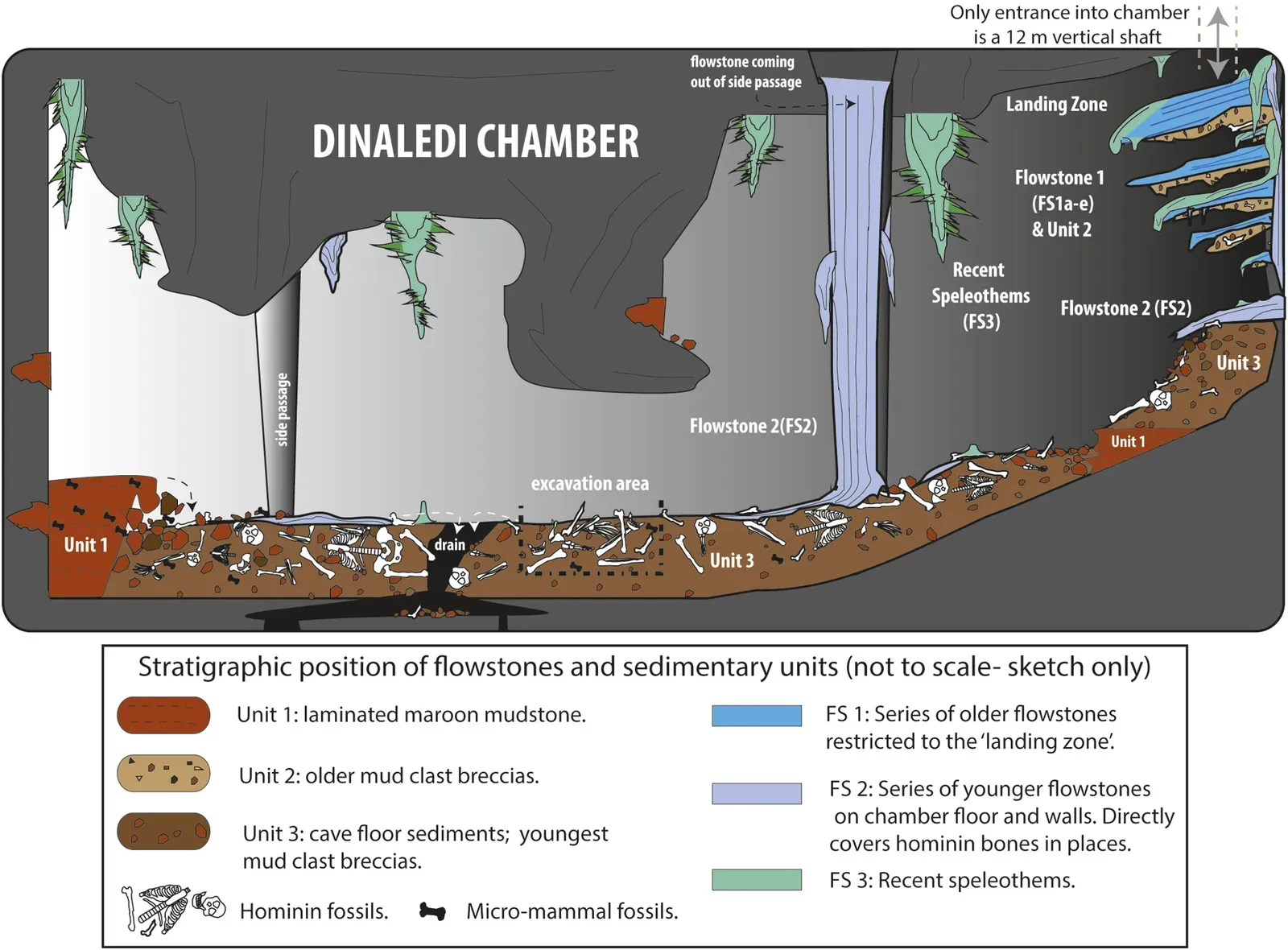 #11 - The All-Female Chamber Deep Inside Rising Star Cave (By Paul H. G. M. Dirks et al, CC BY 4.0)