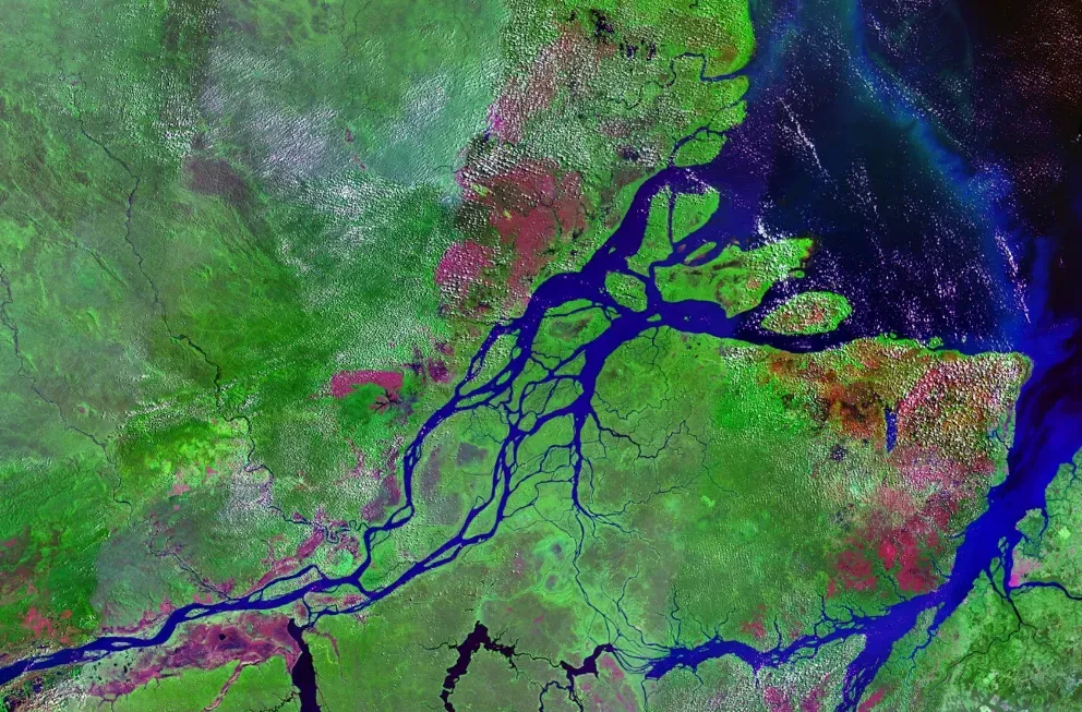 The Amazon Basin: Once a Giant Inland Sea (Public domain)