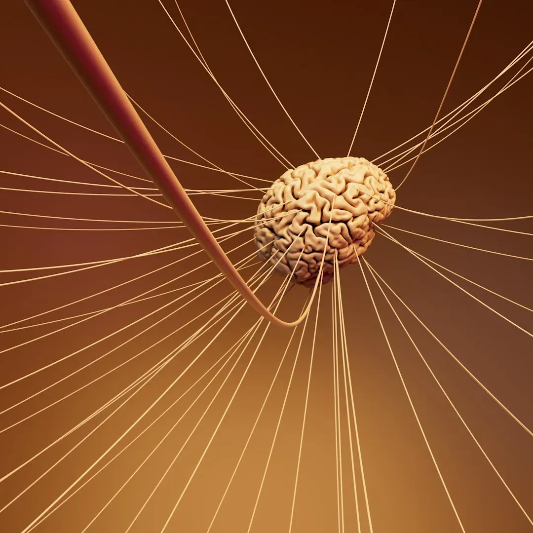 The Brain’s Machinery: Networks Behind Your Inner Movies (Image Credits: Unsplash)