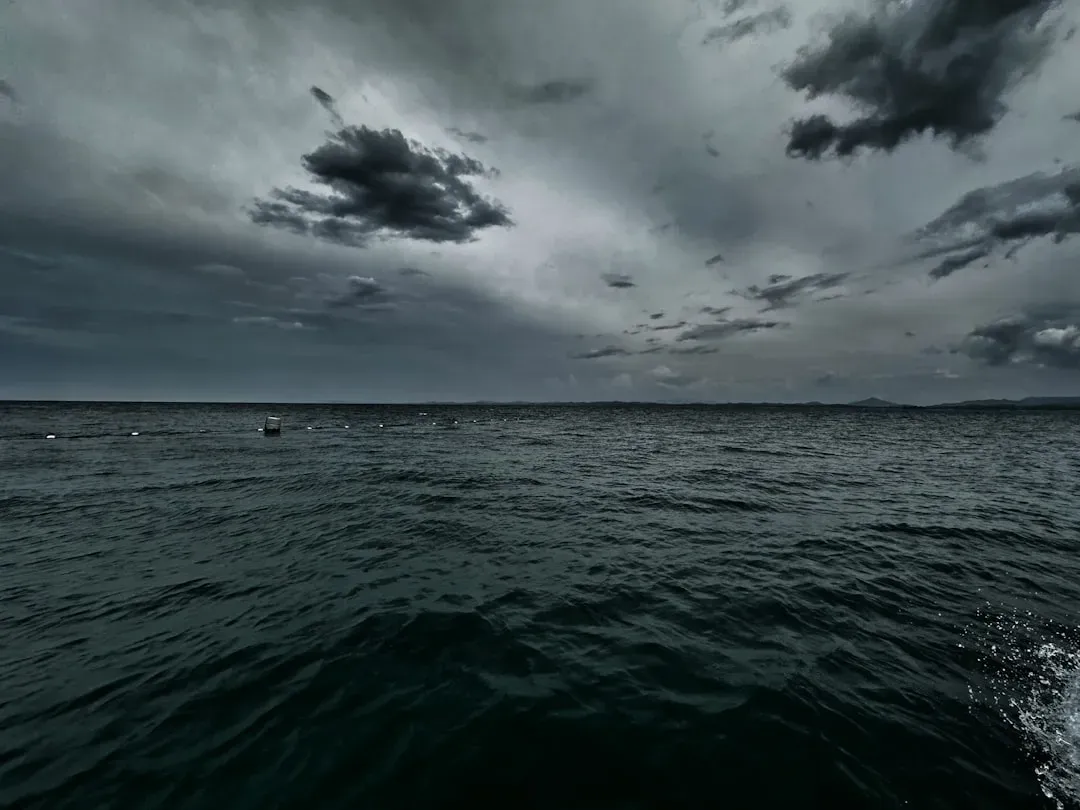 Conclusion: Living with Ocean-Wise Depth (Image Credits: Unsplash)