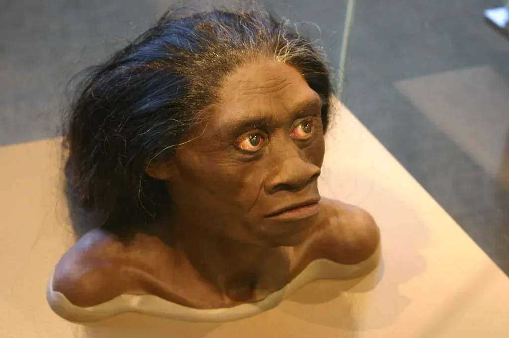 #12 - Homo floresiensis: The "Hobbit" That Survived Alongside Modern Humans (Ryan Somma, Flickr, CC BY-SA 2.0)