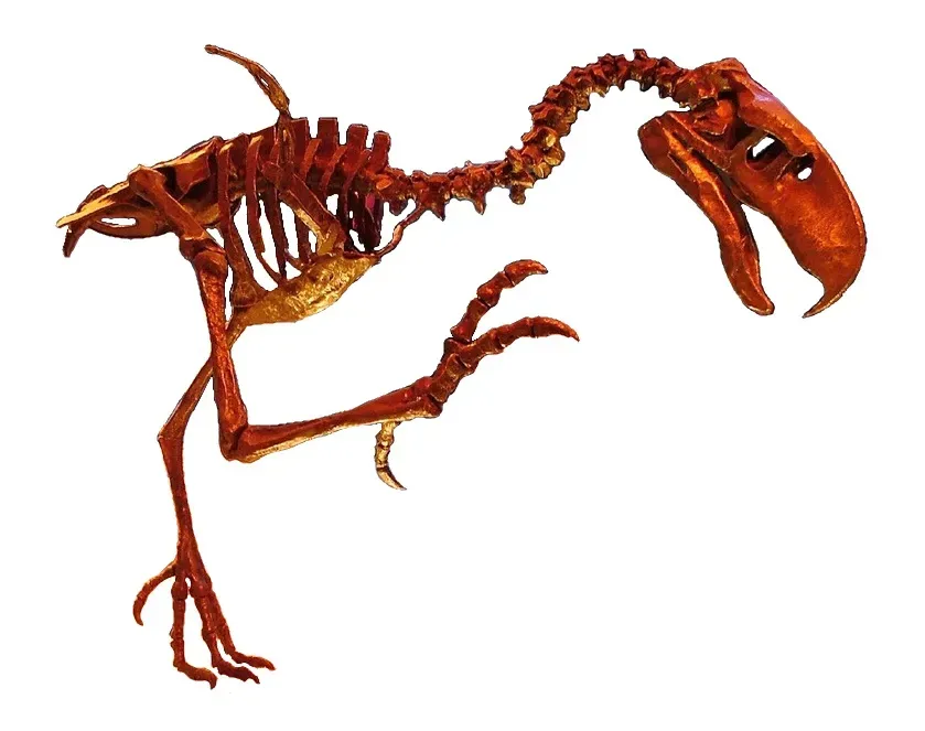 Terror Birds: The Apex Predators of South America (Image Credits: Wikimedia)