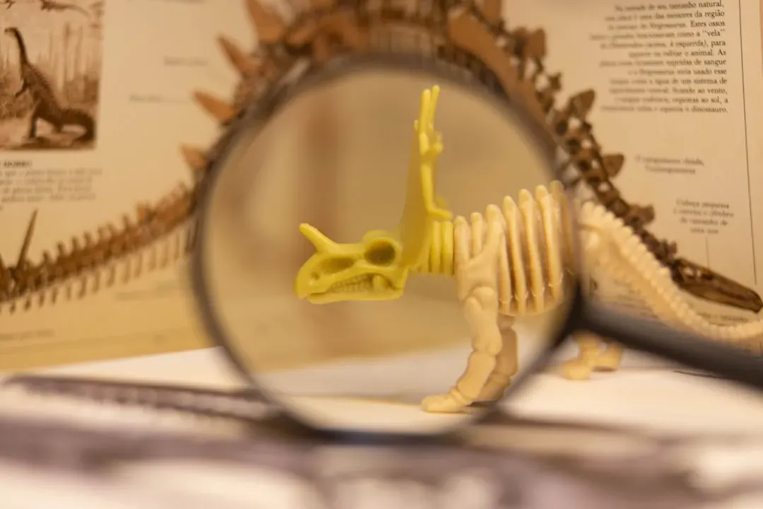 Why Our Extinction Curiosity Is A Sign Of Life, Not Hopelessness (Image Credits: Unsplash)