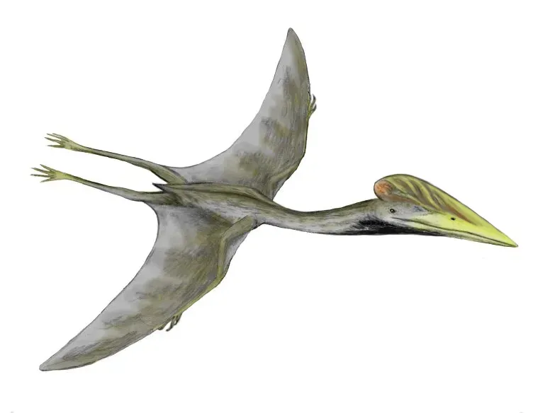 Fact 6: Hatzegopteryx Was the Apex Predator of an Island With No Large Carnivores (By Nobu Tamura (http://spinops.blogspot.com), CC BY 3.0)