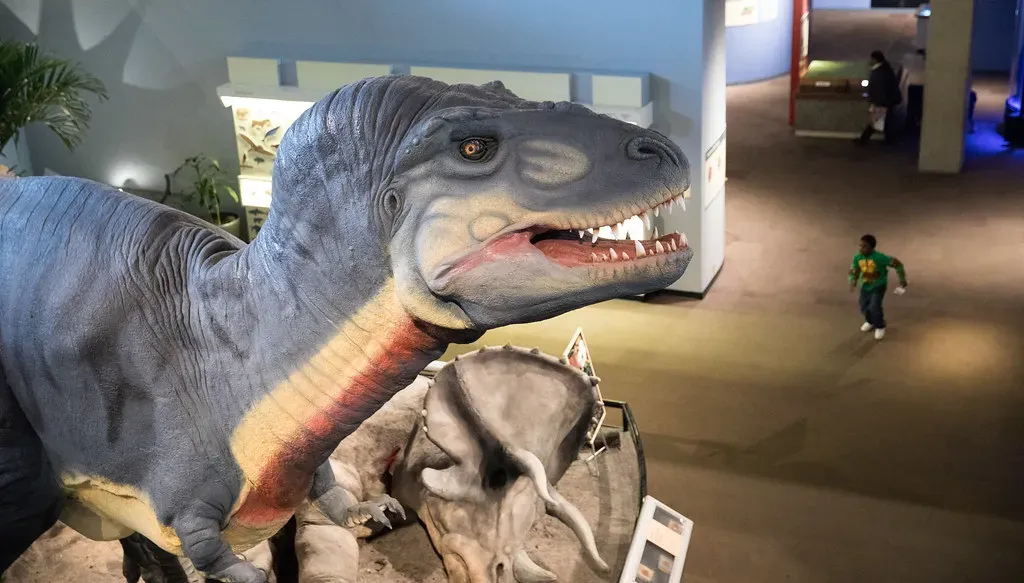 Conclusion: Why a Slightly Wrong T. Rex Actually Matters (tr.robinson, Flickr, CC BY-SA 2.0)