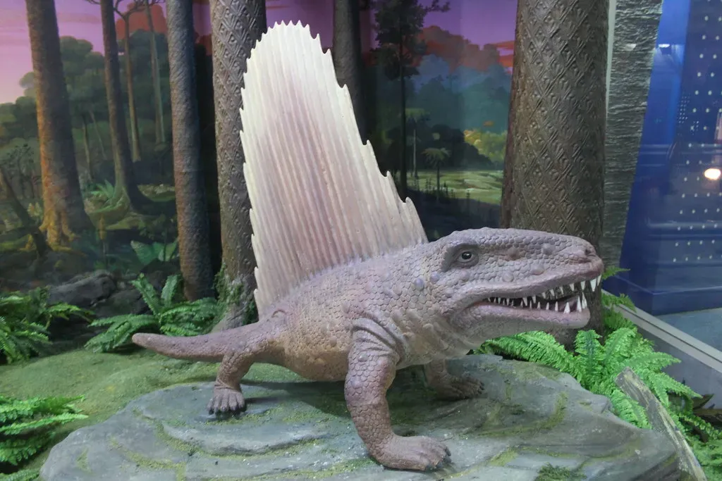 From Dimetrodon to Dinosaurs and Us: A Deep‑Time Perspective (Image Credits: Flickr)