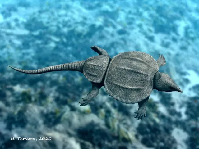 Capricorn – The Archelon: Ancient Titan of Endurance (By Nobu Tamura, CC BY-SA 2.0)