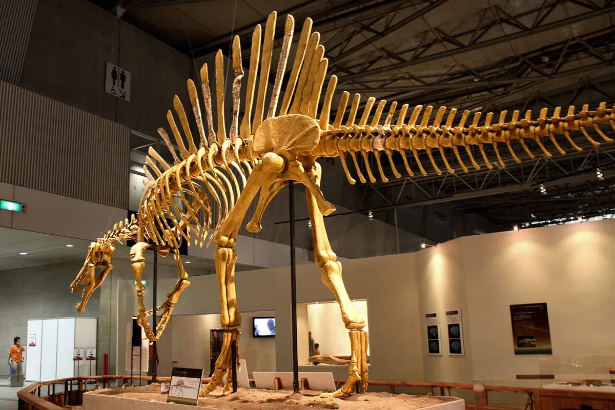 The Tail That Changed Everything (And Sparked New Fights) (Spinosaurus - 03Uploaded by FunkMonk, CC BY 2.0)