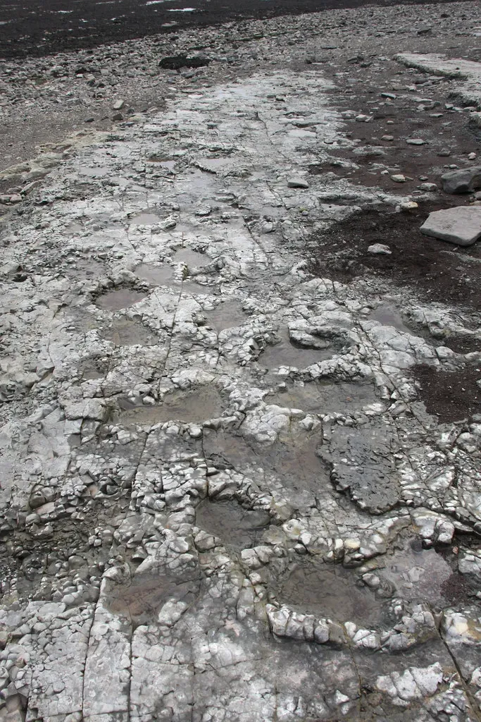 How Scientists Captured Every Detail of These Ancient Steps (Capt' Gorgeous, Flickr, CC BY 2.0)