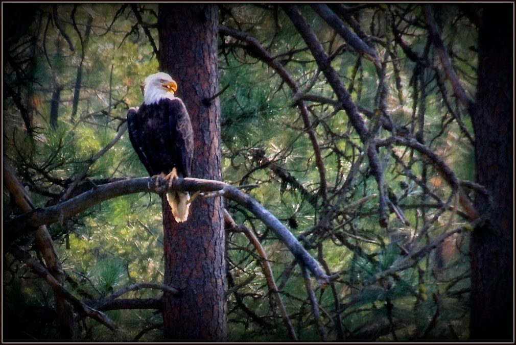 You Feel a Deep Spiritual Connection to Something Greater (Image Credits: Flickr)