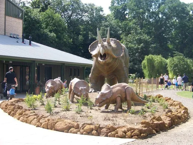 You May Be Glimpsing Emotional Bonds and Long-Term Relationships (Geograph Britain and Ireland, CC BY-SA 2.0)