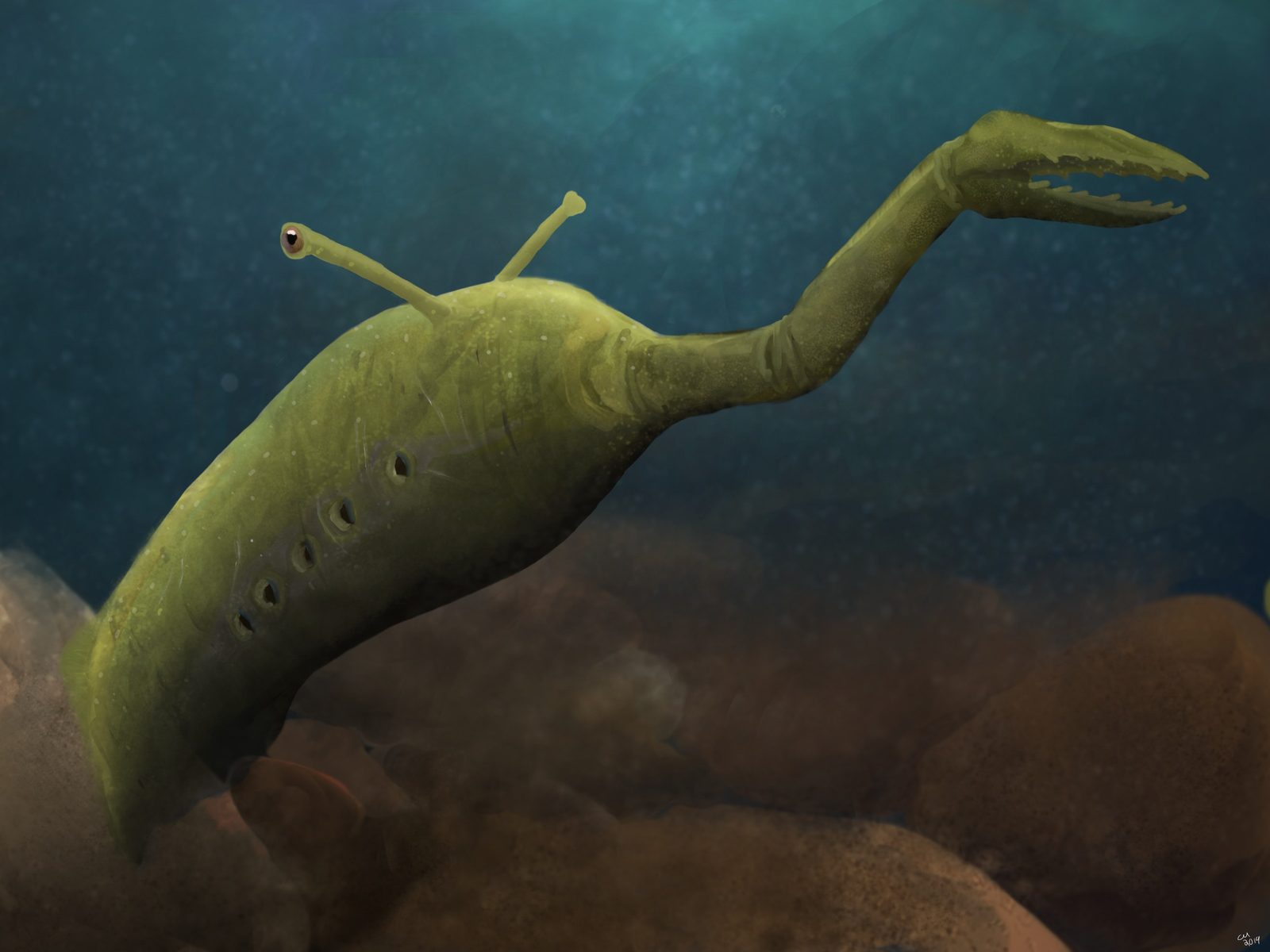Tullimonstrum – The Tully Monster (Image Credits: Wikimedia)