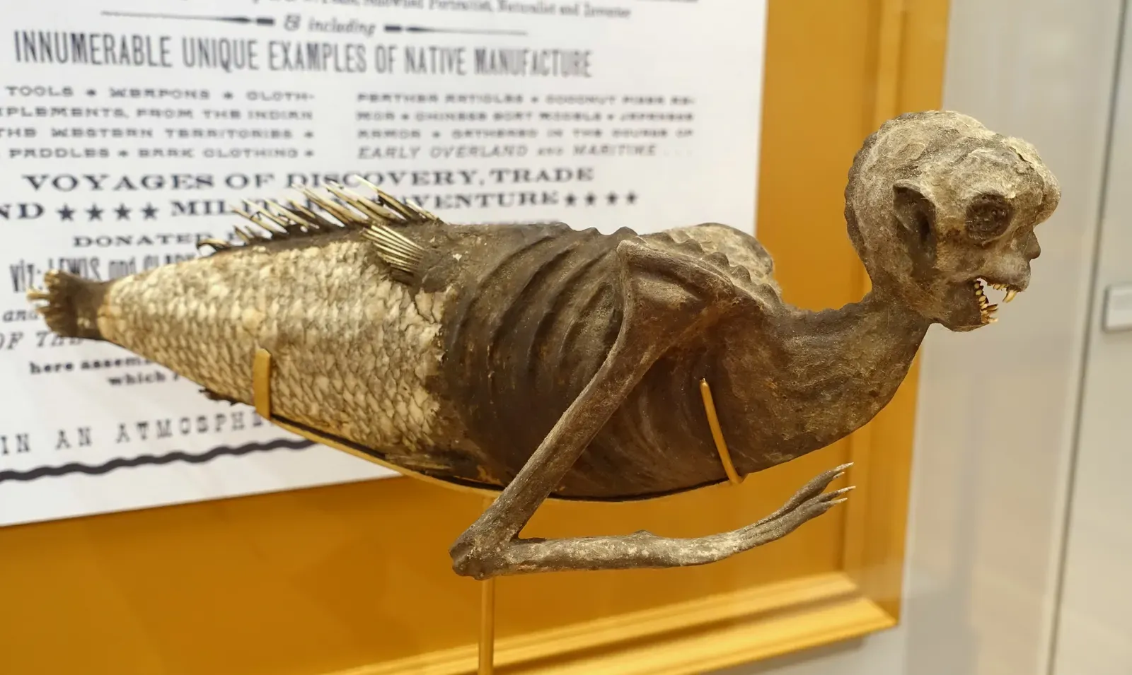#7 - Barnum's "Mermaid" Fooled a Museum Full of Paying Customers (By Daderot, Public domain)