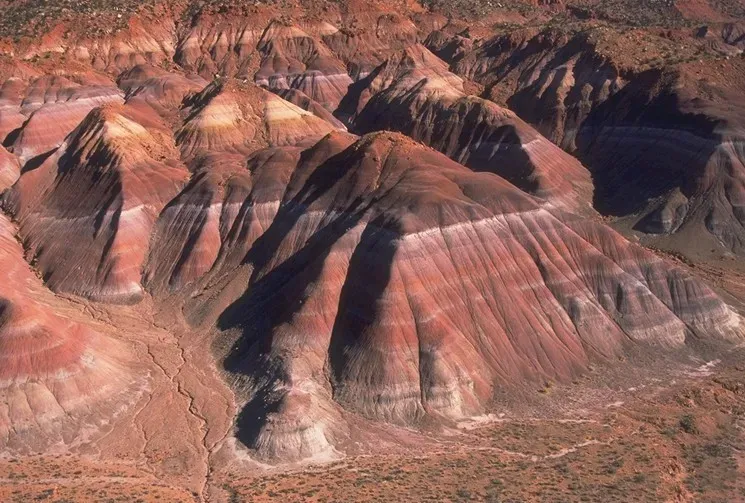The Chinle Formation: Where the Age of Dinosaurs First Began (Public domain)
