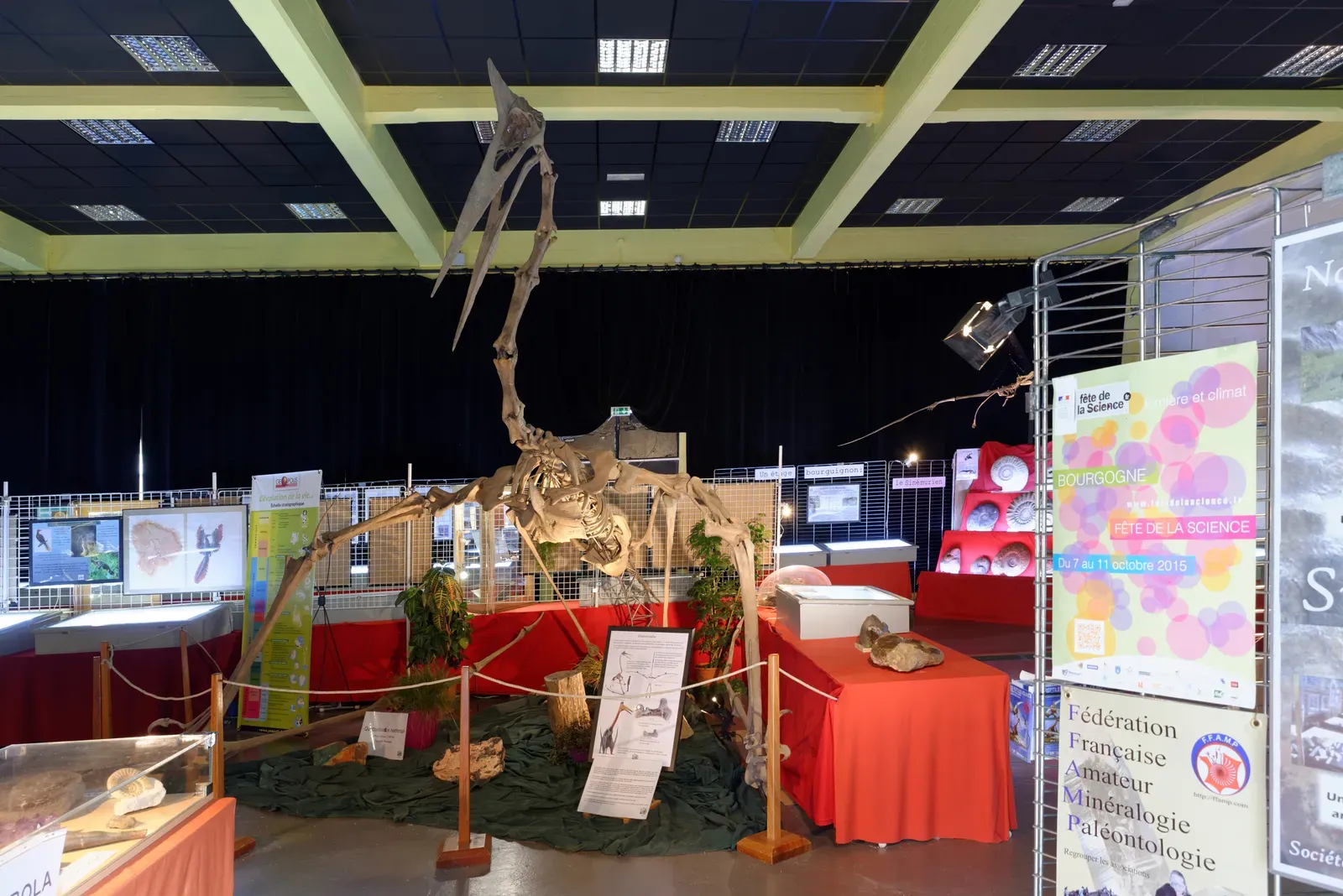 Meet Quetzalcoatlus: The Giraffe-Sized Ruler of the Skies (By François de Dijon, CC BY-SA 4.0)