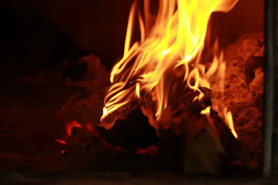 From Fear to Curiosity: The First Steps Toward Keeping a Flame Alive (Image Credits: Pexels)