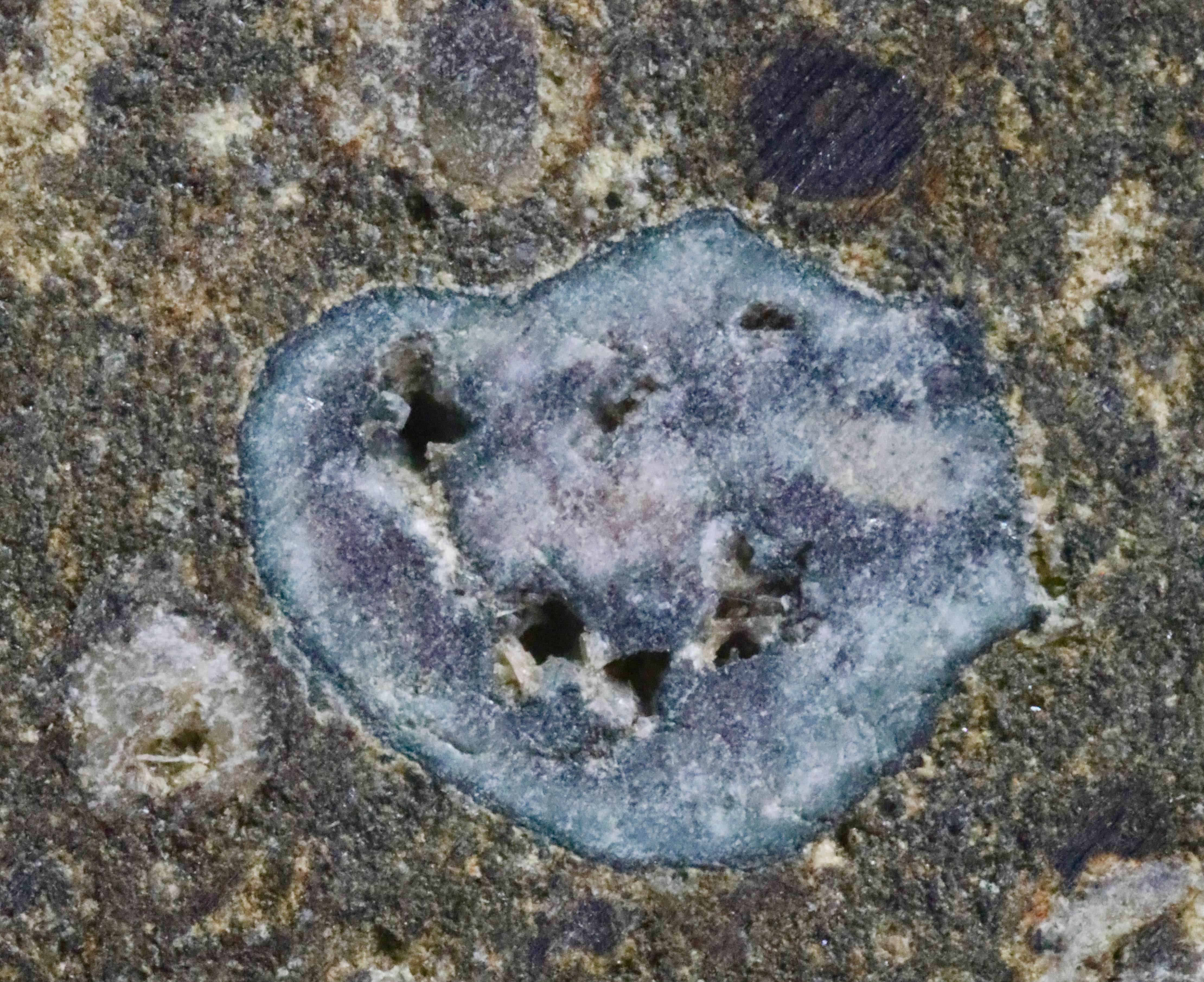 Amino Acids: Life's Building Blocks From Beyond Earth (Image Credits: Wikimedia)