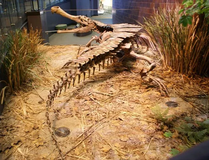 The Giants That Dwarfed Modern Crocodiles (Whole giant croc, CC BY-SA 2.0)