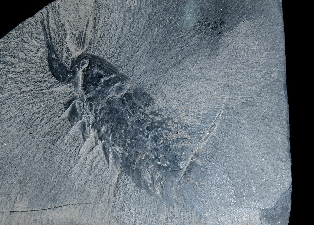 Modern Discoveries and Lasting Legacy (Image Credits: Flickr)