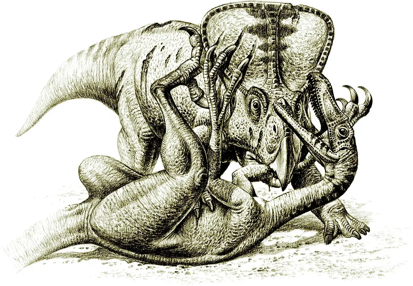 Velociraptor and Protoceratops: a death struggle frozen in stone (A Field Trip to the Mesozoic Chiappe LM PLoS Biology Vol. 1, No. 2, e40 doi:10.1371/journal.pbio.0000040Available online and here., CC BY 2.5)