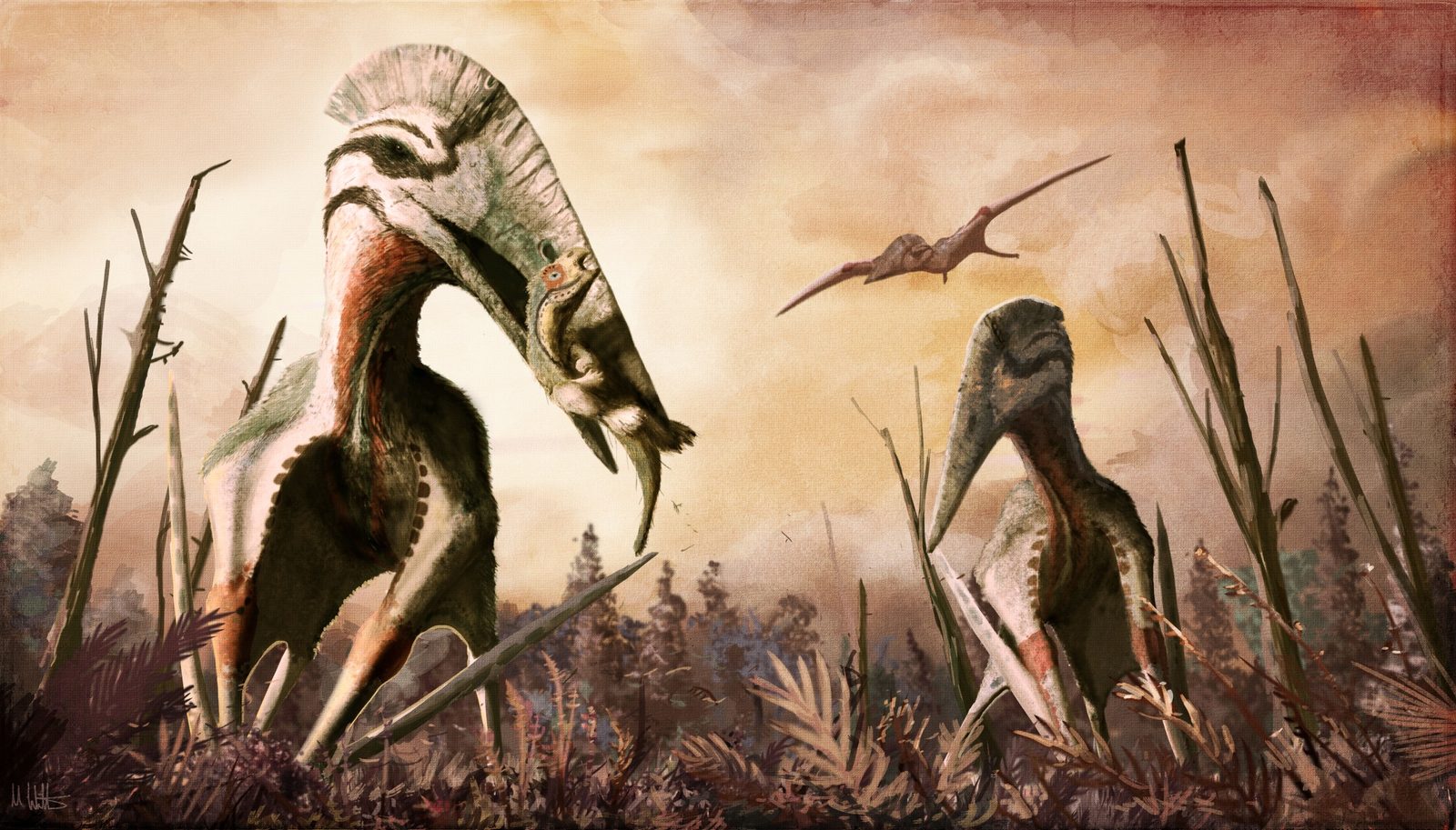 The Romanian Connection: Hatzegopteryx in Europe (Image Credits: Wikimedia)