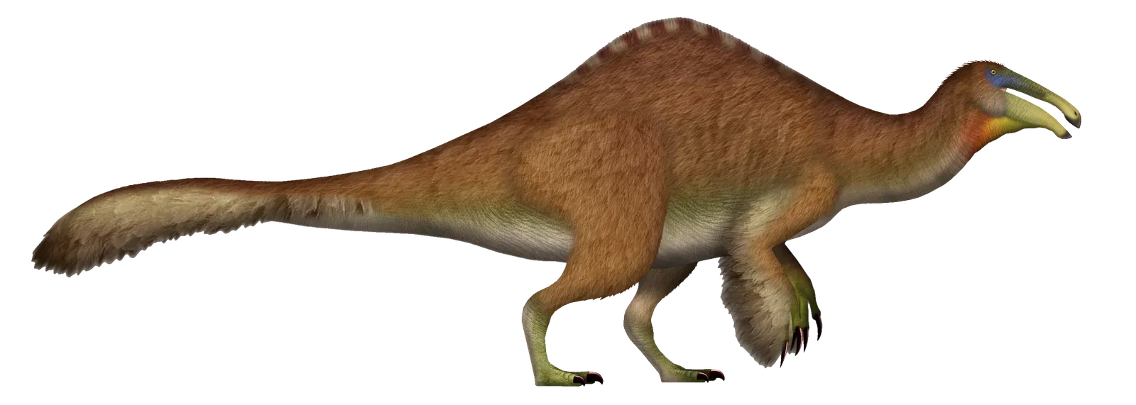 Fact 5: It Was an Omnivore That Swallowed Stones and Ate Fish (By TotalDino, CC BY-SA 4.0)