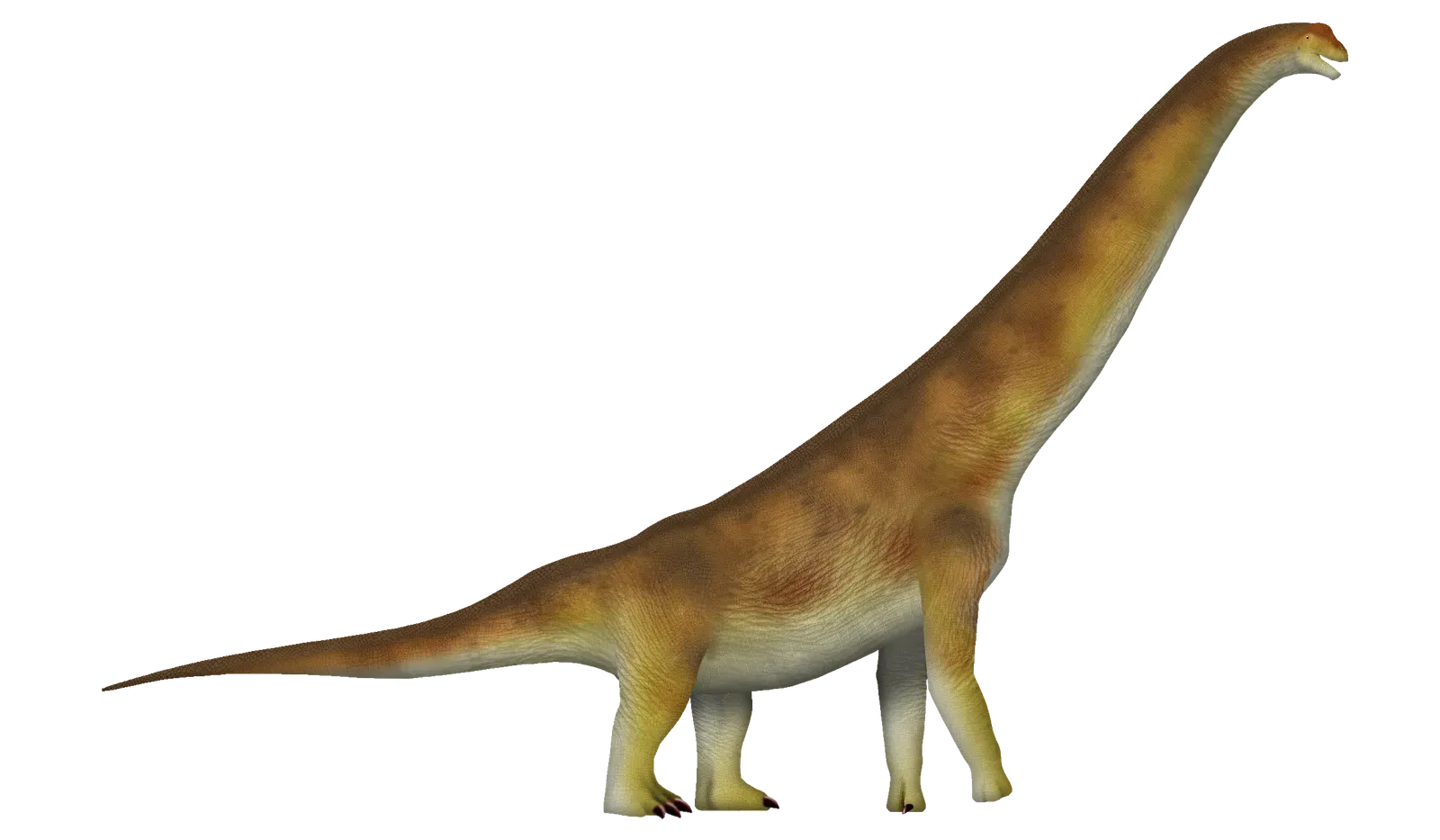 The Unanswered Questions That Keep Scientists Guessing (Image Credits: Wikimedia)