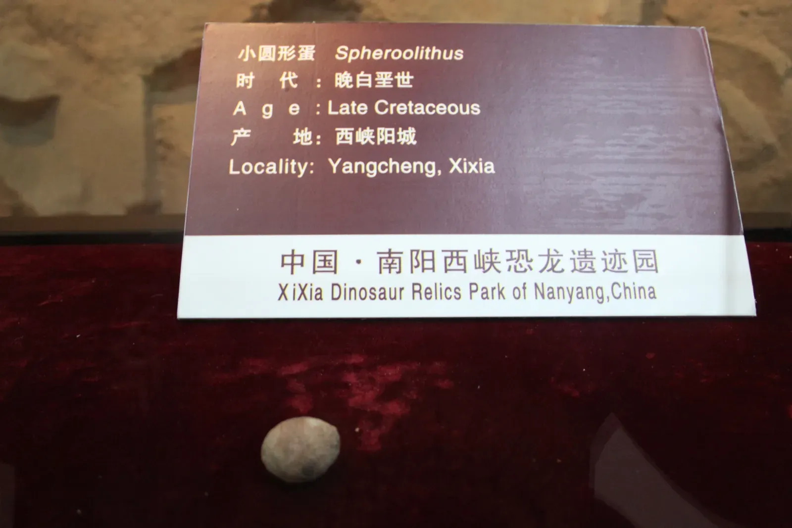 Science Streamed Live - and the World Was Watching (By Gary Todd, CC0)